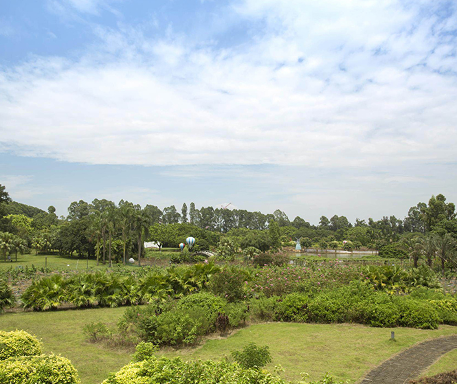 市政工程中存在哪些常见问题需要解决？